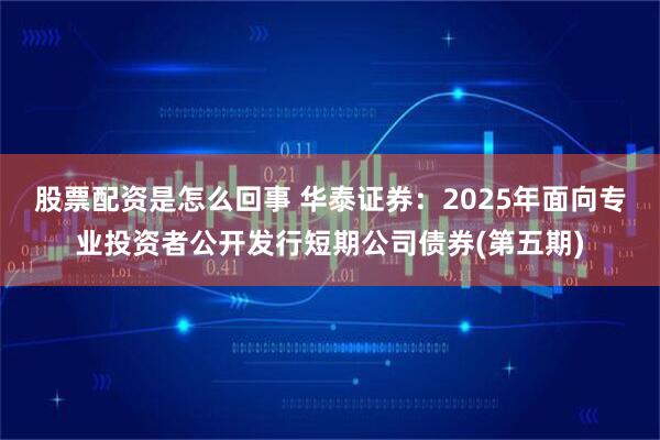 股票配资是怎么回事 华泰证券：2025年面向专业投资者公开发行短期公司债券(第五期)