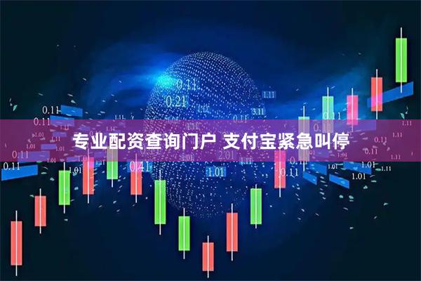 专业配资查询门户 支付宝紧急叫停