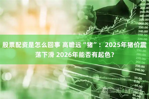 股票配资是怎么回事 高瞻远“猪”：2025年猪价震荡下滑 2026年能否有起色？