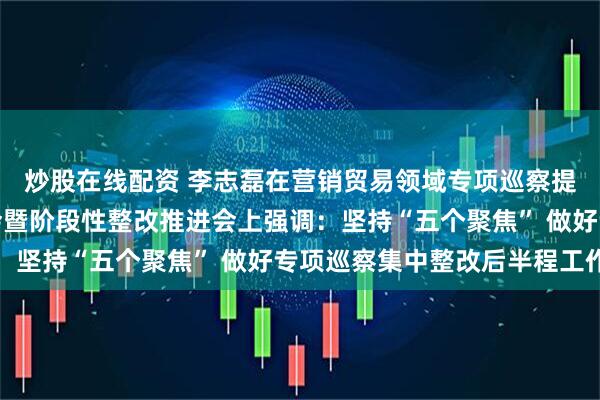 炒股在线配资 李志磊在营销贸易领域专项巡察提级整改第二次工作例会暨阶段性整改推进会上强调：坚持“五个聚焦” 做好专项巡察集中整改后半程工作